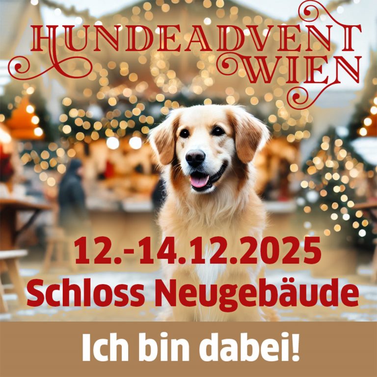 Hundeadvent_ich_bin_dabei
